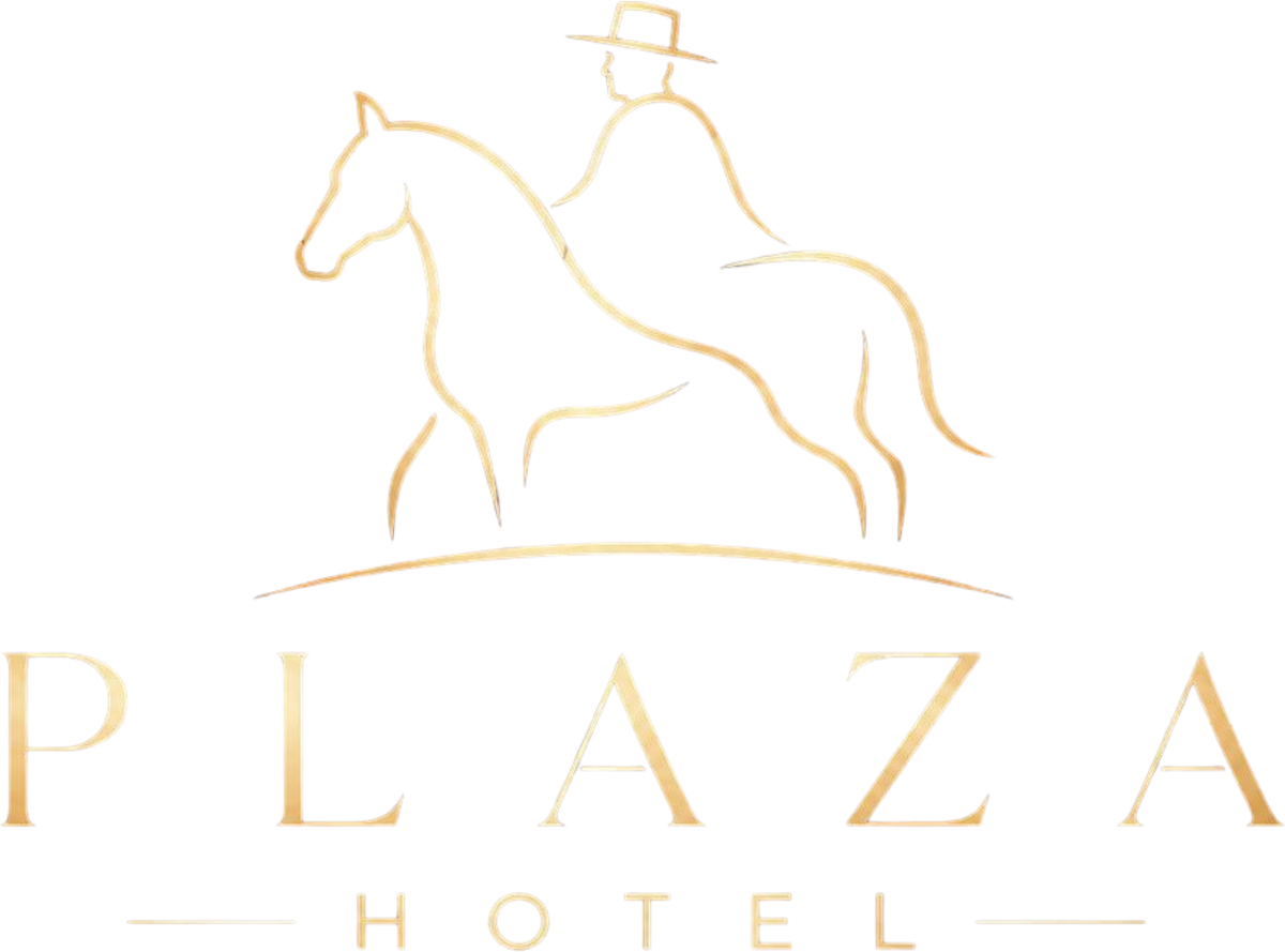 Plaza Hotel Vacaria